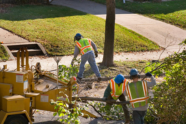 Landscape Design and Installation in Monterey, CA